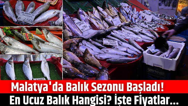 Malatya'da balık sezonu başladı! En ucuz balık hangisi? İşte fiyatlar...
