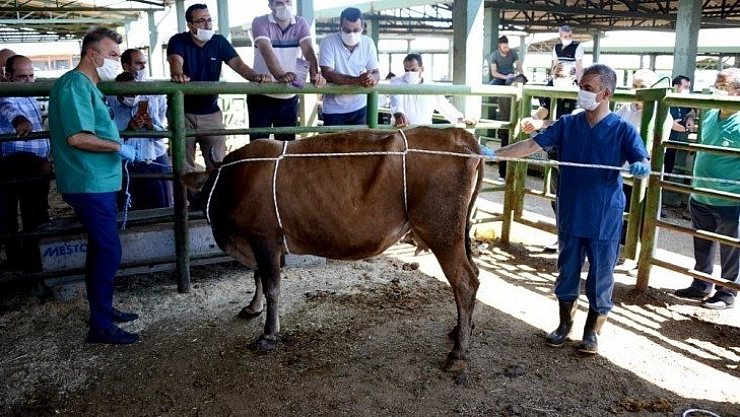 Geçici pazarlar kurulmayacak