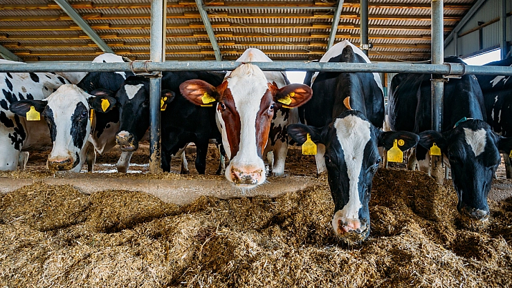 Malatya'da besi OTB'nin üstyapı çalışmaları sürüyor