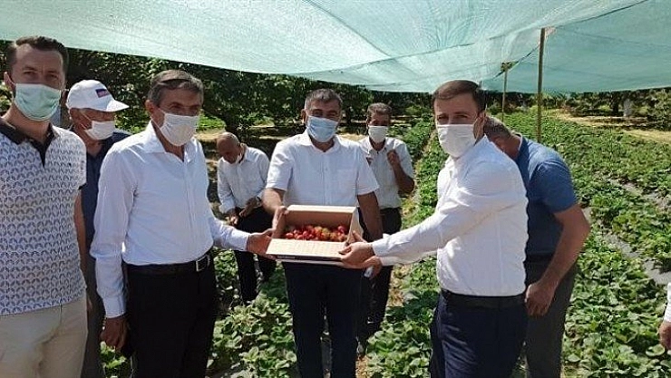 Tarla günü düzenlendi