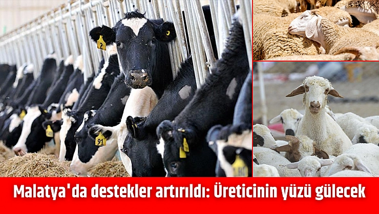 Malatya'da destekler artırıldı: Üreticinin yüzü gülecek