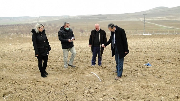 Dut üretimi yaygınlaşıyor