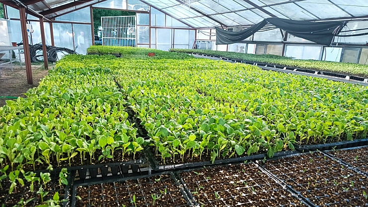 Malatya'da Eğitim ve Üretim Bir Arada: Ziraat Okulu'ndan Sofralara!