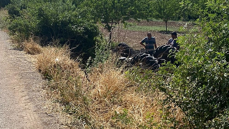 Malatya'da Feci Kaza! Sürücü Kontrolünü Kaybetti, Traktör Devrildi, 4 Yaralı!