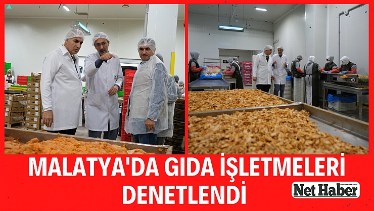 Malatya'da gıda işletmeleri denetlendi