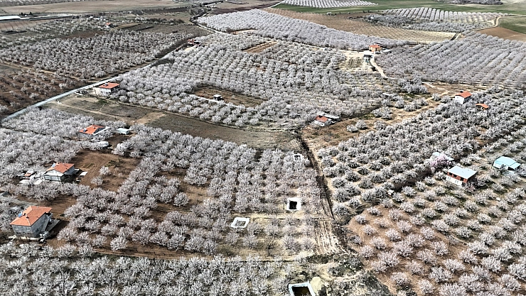 Malatya'da Hava Sıcaklığı -4 Dereceye Düşecek: Üreticiler Tedirgin!