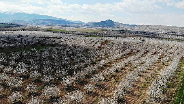 Malatya'da havalar ısınıyor