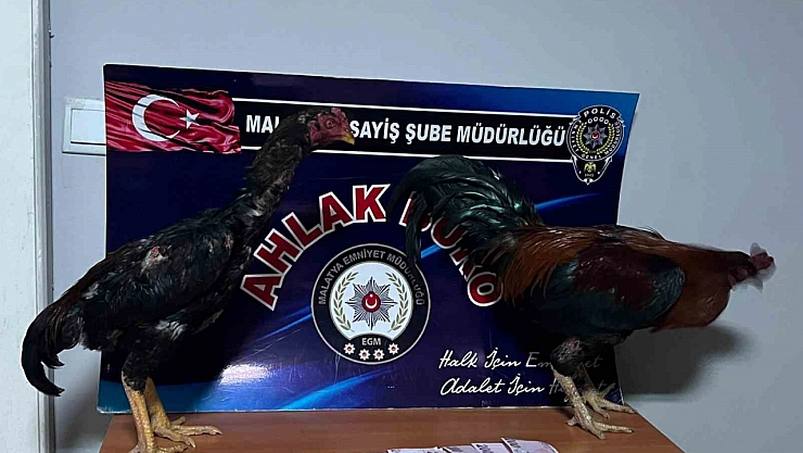 Malatya'da Rekor Ceza Kesildi..!