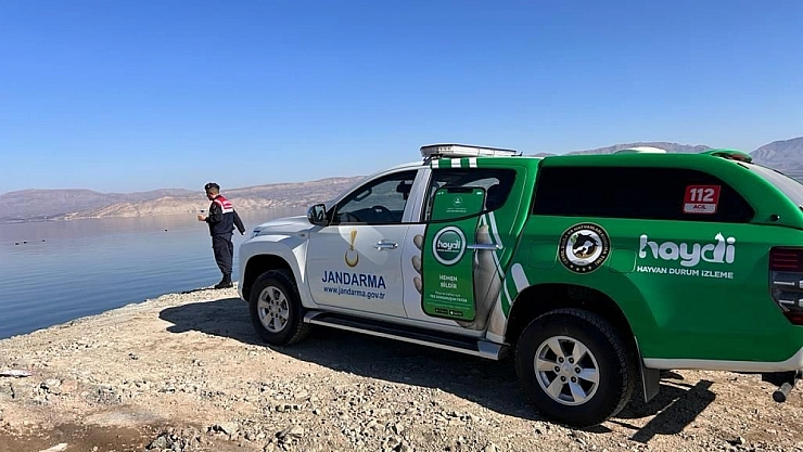 Jandarma, doğaya yem bıraktı