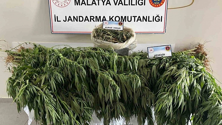 Malatya'da jandarmadan uyuşturucu operasyonu