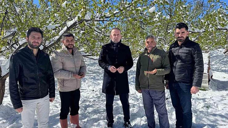 'Malatya'da kayısı krizi: Afet bölgesi ilan edilmeli