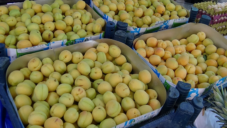 Malatya'da kayısı lüks tüketime dönüştü! Fiyatı etle yarışıyor…!
