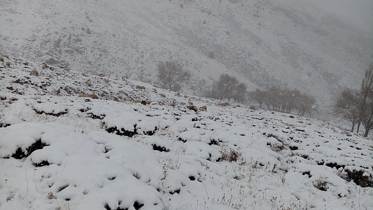 Yüksek kesimlere kar yağdı