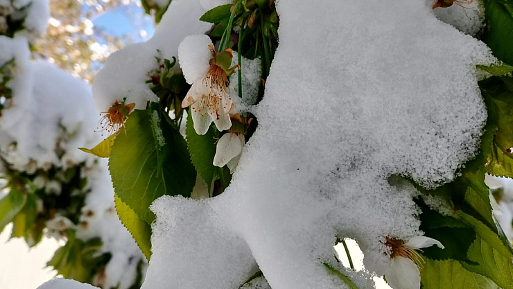 Malatya'da kış bitmek bilmiyor: Hava sıcaklığı 10 derece altında seyredecek…