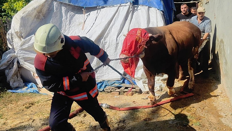 Malatya'da ahır alevlere teslim oldu