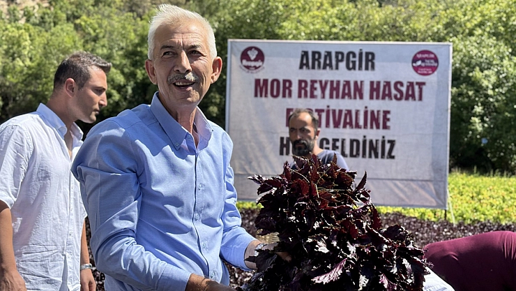 Malatya'da Kozluk Çayı kenarında hasadı başladı. Bölge ekonomisine katkı sağlıyor