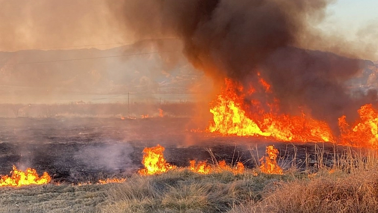 Malatya'da sazlık yangını!