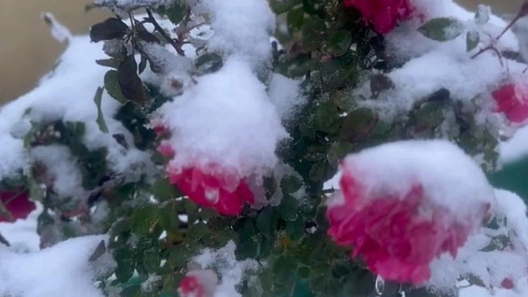 Malatya'da Soğuk Hava Etkisi Devam Ediyor! İşte Hava Durumu..