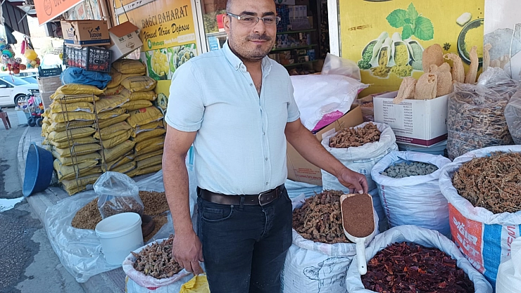 Malatya'da sumak hasadı başladı: Kilosu 350 TL'den alıcı buluyor