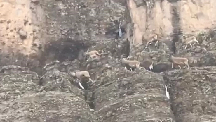 Malatya'da Doğa Harikaları Kamerada