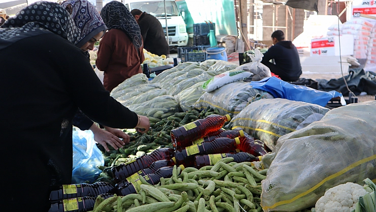 Malatya'da turşu kurmak pahalıya patladı! Peki pazarda turşu malzemelerinin fiyatı nedir?