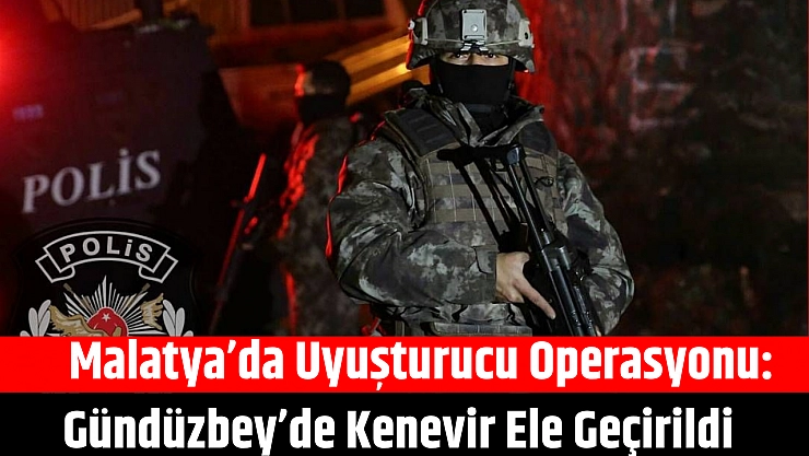 Malatya'da uyuşturucu operasyonu: Gündüzbey'de Kenevir ele geçirildi