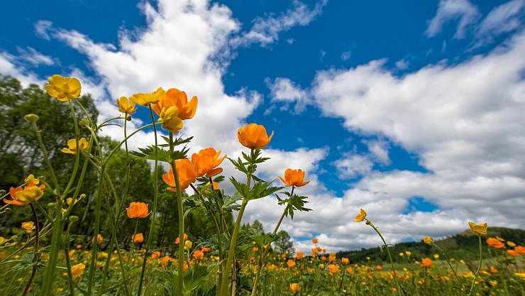 Malatya'da yağmur kapıda! Hangi ilçelerde etkili olacak? İşte hava durumu tahmini...