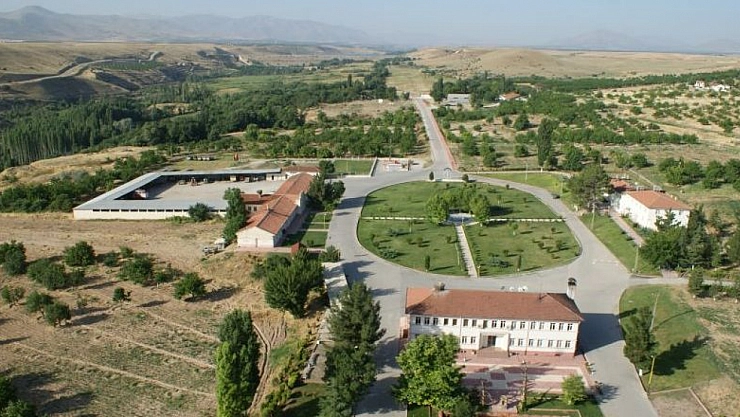 Malatya'da yetiştirildi! Fiyatı dudak uçuklattı