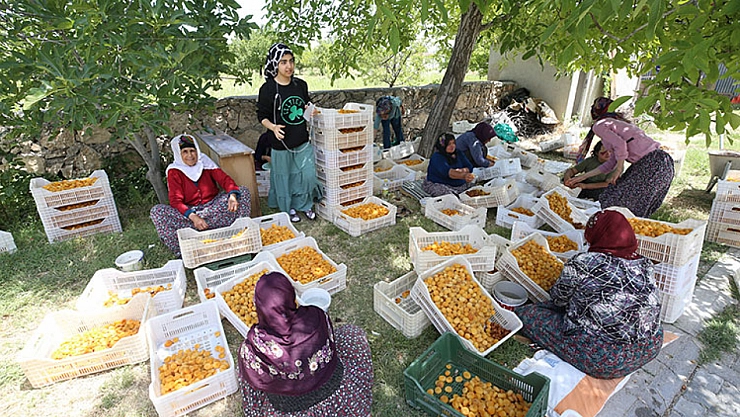 Malatya'da yevmiye ücretleri belli oldu!