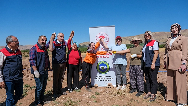 Malatya'da yüzde 100 hibeyle dağıtıldı! Fideler ve sulama sistemi teslim edildi: Bölge ekonomisine can suyu olacak