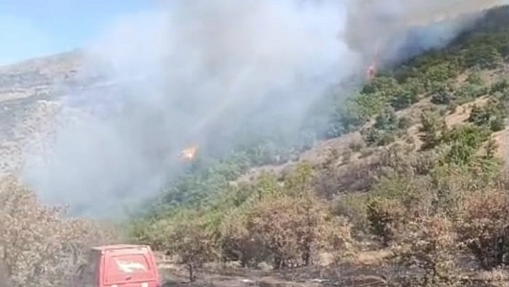 Malatya'daki yangın kontrol altında