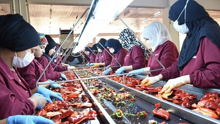 Malatya'dan Avrupa'ya