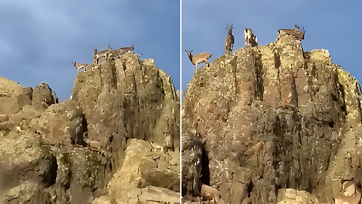 Malatya Doğal Yaşamı Koruyan Bir Şehir