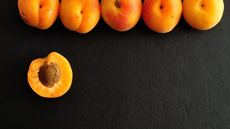 Malatya Kayısı'sına Avrupa'dan şok! Sarı Altın toplatılıyor…