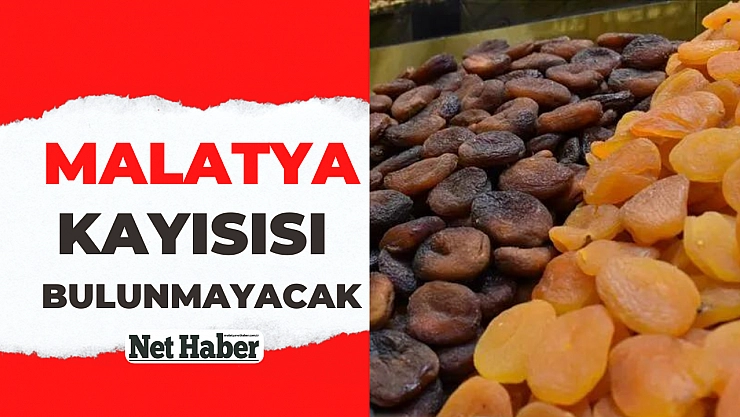 Malatya kayısısı bulunmayacak
