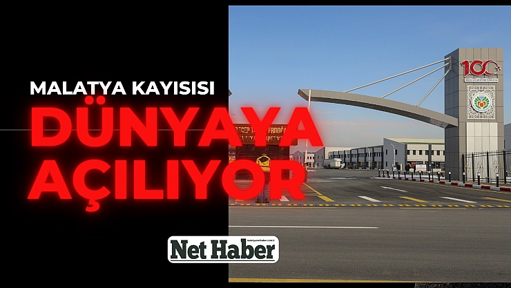 Malatya kayısısı dünyaya açılıyor