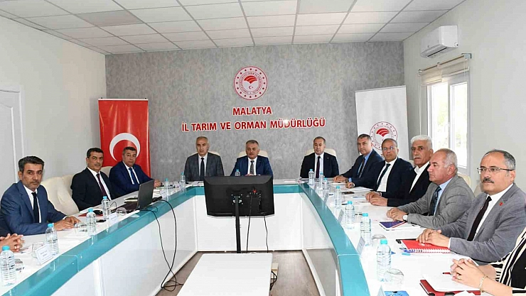 Malatya kayısısında rekolte: 107 bin 517 ton