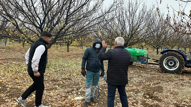 Malatya Kayısısında Verimi Artıracak Kritik Uyarı: Sonbahar İlaçlaması Başladı!