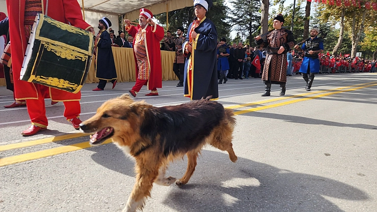 Malatya'nın maskotuydu! Şimdi tedavi görüyor...!