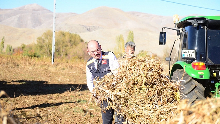Malatya'nın yöresel lezzetinin sofraya yolculuğu başladı!