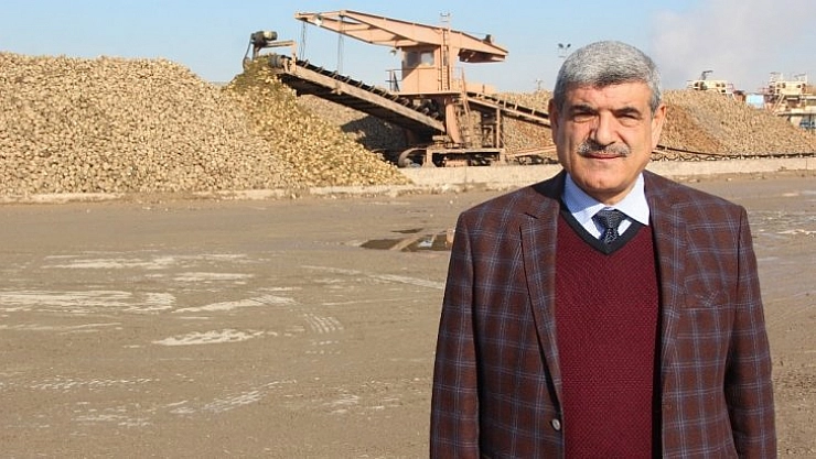 345 bin ton pancar işlendi