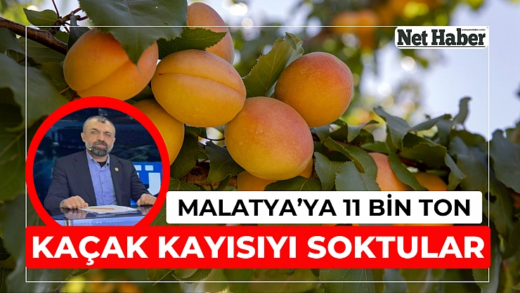 Malatya'ya kaçak kayısı sokuldu