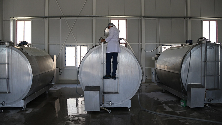 Malatya'ya süt merkezi kuruluyor!