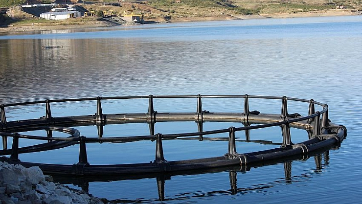 Malatya'dan havyar İhracatı