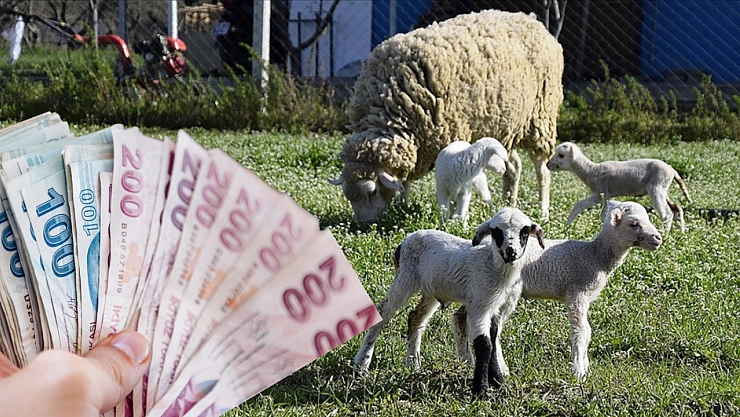 Malatyalı çiftçiler müjde! Destek başvurular başladı...