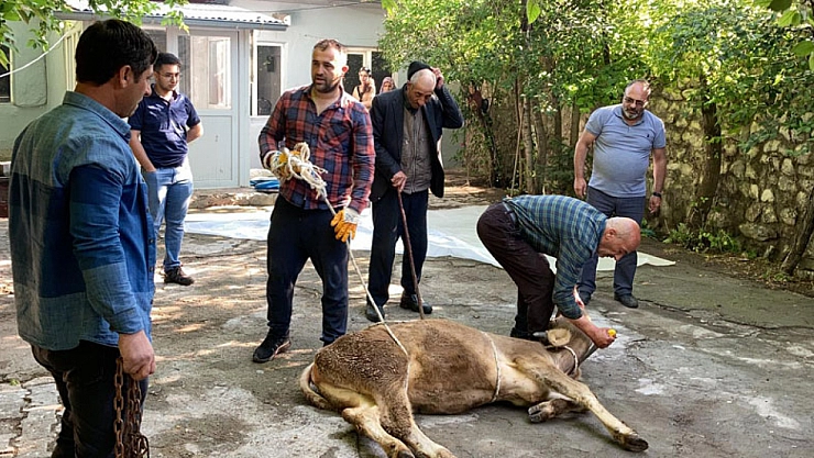 Malatyalılar dikkat! Bunu yapanlara ceza yağacak!