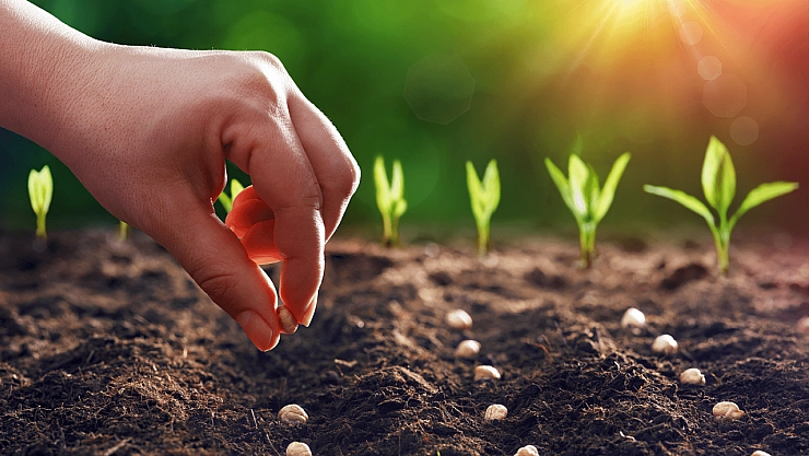 Malatyalılar hesaplarınız kontrol edin: 331 milyon TL'lik destek ödemeleri yatırıldı…