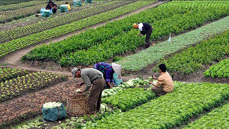 Malatyalılar, hesaplarınızı kontrol edin! Destek ödemeleri yatıyor…