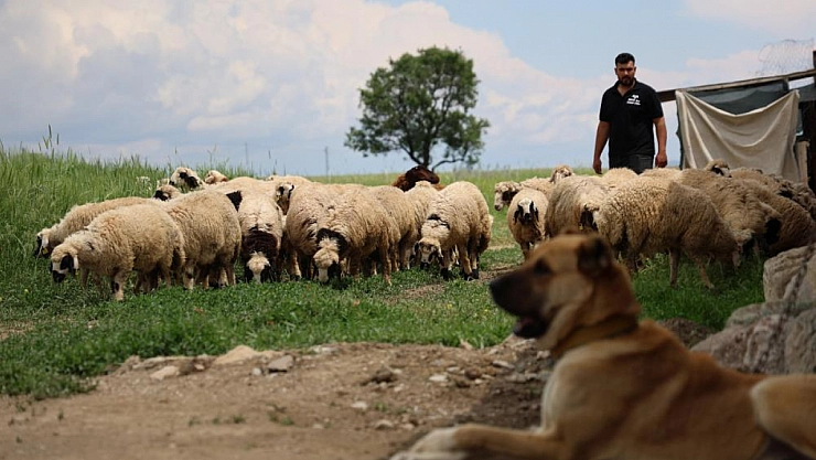Malatyalılar hesaplarınızı kontrol edin! Para desteği başladı