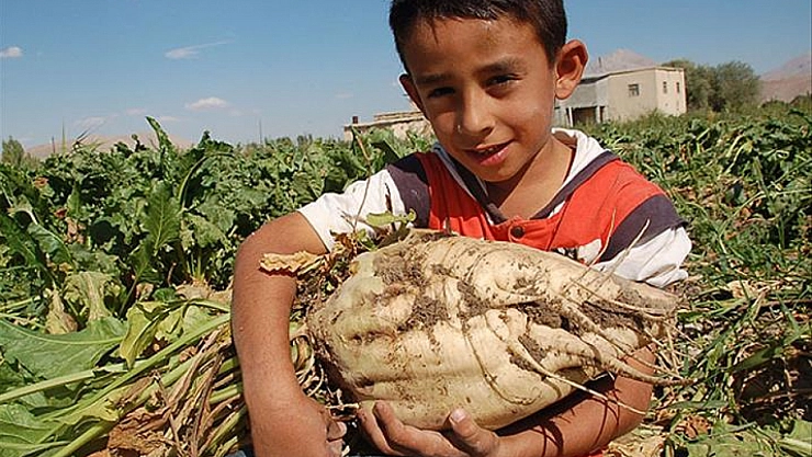 Malatyalılar müjde: Hesaplara 2 milyar 465 milyon TL'lik avans ödemeleri yattı…
